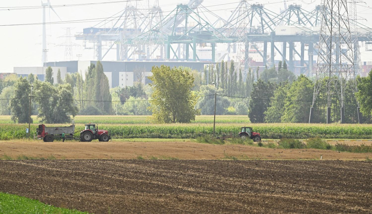 Doelpolder Midden Yves Adams